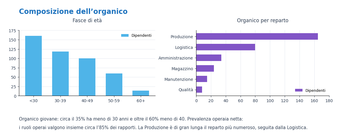 esempio-composizione-organico-anon Esempio di analisi HR: composizione dell'organico per fasce di età e reparto generato da HR STUDIO